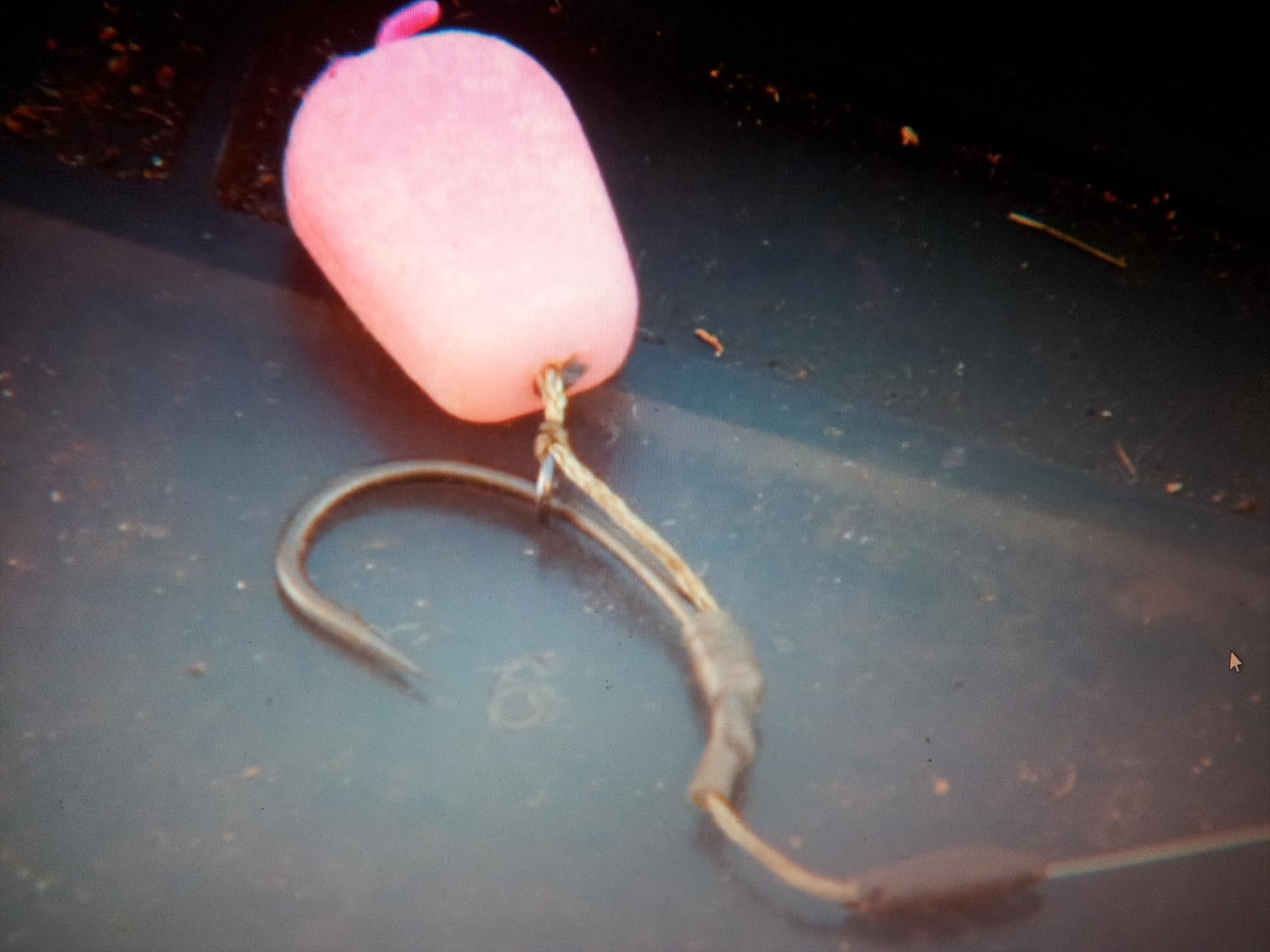 Monturi - 20130121213041.jpg